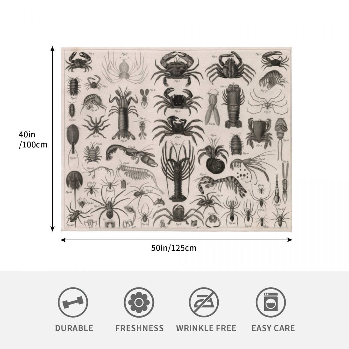 1857 Diagram Zoology: Animals  - 3D Printing Diagram review and price